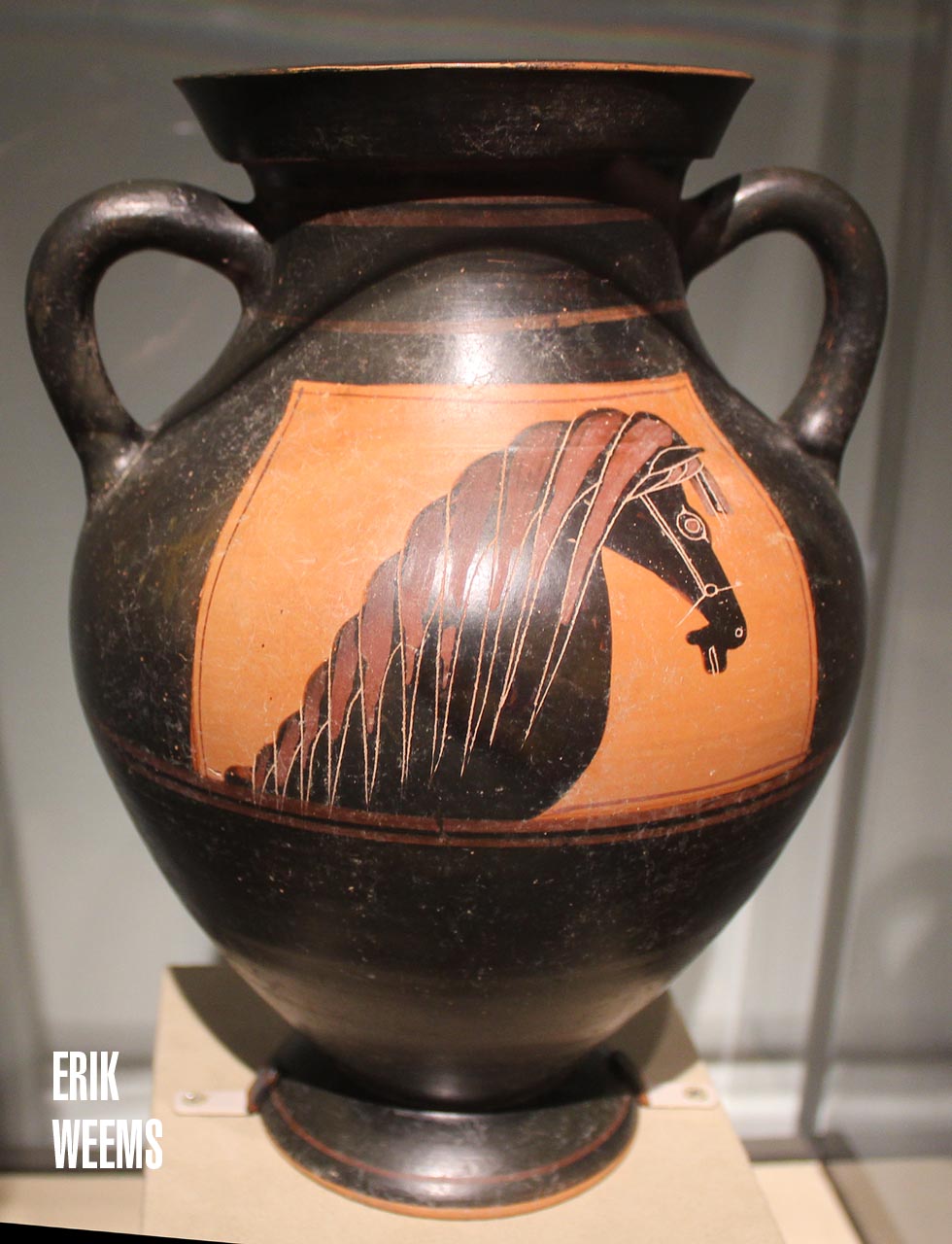 Horse Art Ancient Greece Vase