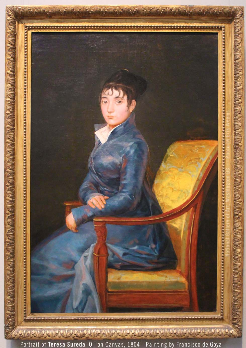 Teresa Sureda Portrait by Francisco de Goya 1804