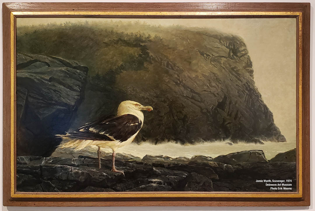 Scavenger - seagul on coast painted 1974 oil on canvas by Jamie Wyeth